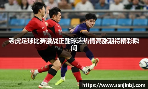 老虎足球比赛激战正酣球迷热情高涨期待精彩瞬间