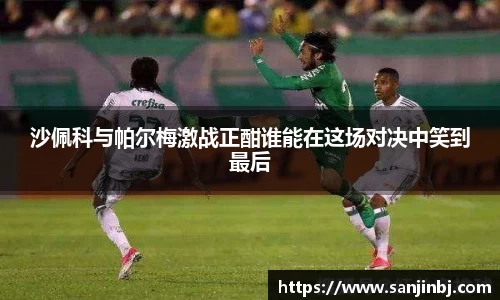 沙佩科与帕尔梅激战正酣谁能在这场对决中笑到最后